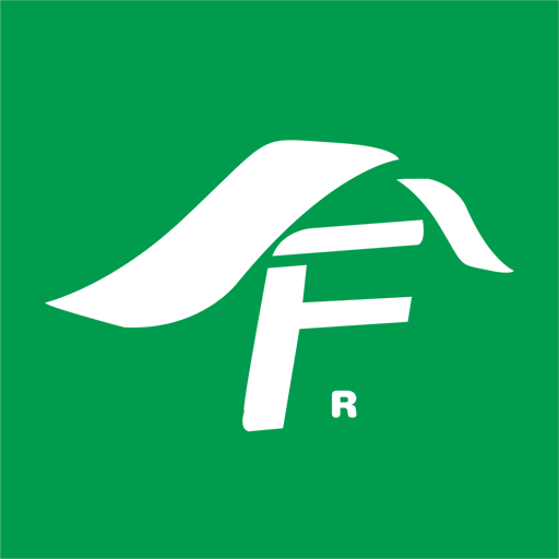 澳门六下彩2020